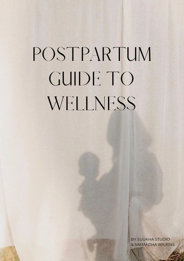 Post Partum Care - Digital Guide